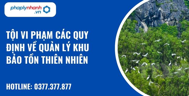Khu bảo tồn thiên nhiên là gì? Quy định về tội vi phạm các quy định về quản lý khu bảo tồn thiên nhiên? 1 tội vi phạm các quy định về quản lý khu bảo tồn thiên nhiên - hỗ trợ, tư vấn pháp lý nhanh