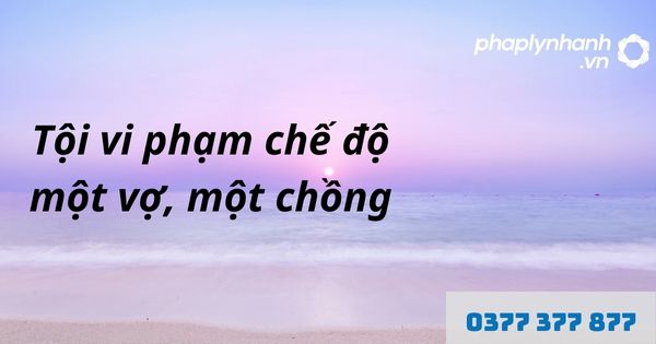 Chế độ một vợ, một chồng là gì? Quy định về tội vi phạm chế độ một vợ, một chồng như thế nào? 1 tội vi phạm chế độ một vợ, một chồng - hỗ trợ, tư vấn pháp lý nhanh