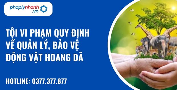 tội vi phạm quy định về quản lý, bảo vệ động vật hoang dã - hỗ trợ, tư vấn pháp lý nhanh