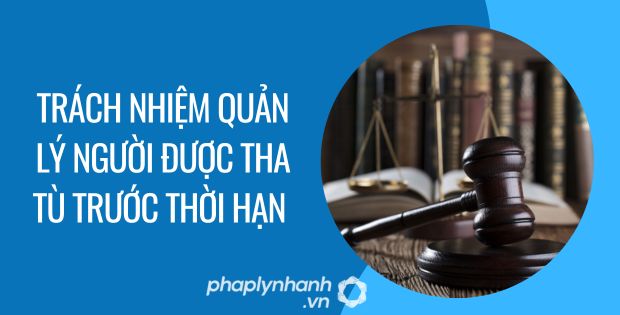 trách nhiệm quản lý người được tha tù trước thời hạn - Tư vấn hỗ trợ phaplynhanh