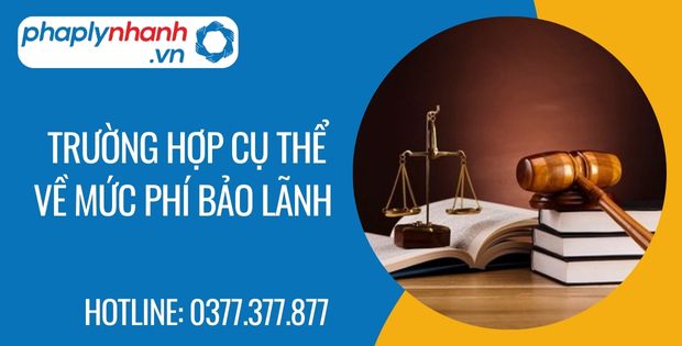 Chi phí bảo lãnh dân sự 2 trường hợp cụ thể về mức phí bảo lãnh - Tư vấn hỗ trợ phaplynhanh