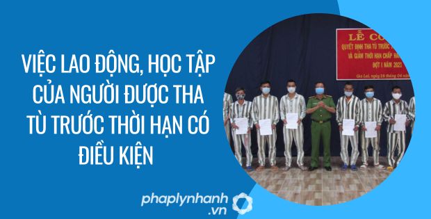 VIỆC LAO ĐỘNG, HỌC TẬP CỦA NGƯỜI ĐƯỢC THA TÙ TRƯỚC THỜI HẠN CÓ ĐIỀU KIỆN 1 việc lao động, học tập của người được tha tù trước thời hạn có điều kiện - Tư vấn hỗ trợ phaplynhanh