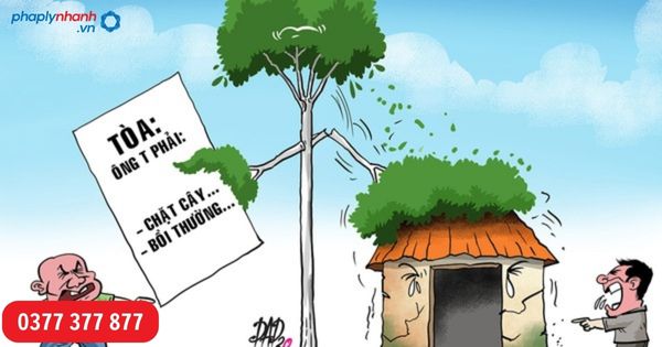 Pháp luật quy định Cây đổ sang đất nhà hàng xóm thì xử lý như thế nào? 1 Pháp luật quy định Cây đổ sang đất nhà hàng xóm thì xử lý như thế nào? -tư vấn, hỗ trợ pháp lý nhanh