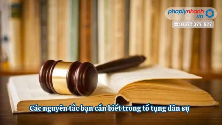 Các nguyên tắc bạn cần biết trong tố tụng dân sự 1 Các nguyên tắc bạn cần biết trong tố tụng dân sự - Tư vấn, hỗ trợ pháp lý nhanh