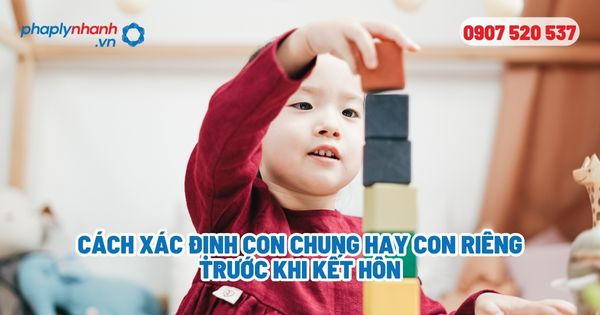 Cách xác định con chung hay con riêng trước khi kết hôn? 1 Cách xác định con chung hay con riêng trước khi kết hôn - Tư vấn, hỗ trợ pháp lý nhanh
