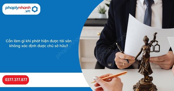 Cần làm gì khi phát hiện được tài sản không xác định được chủ sở hữu? 1 Cần làm gì khi phát hiện được tài sản không xác định được chủ sở hữu-Hỗ trợ, tư vấn pháp lý nhanh