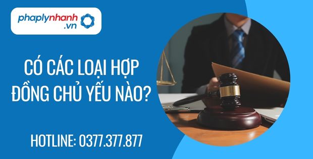 Có các loại hợp đồng chủ yếu nào? 1 Có các loại hợp đồng chủ yếu nào - Tư vấn hỗ trợ phaplynhanh