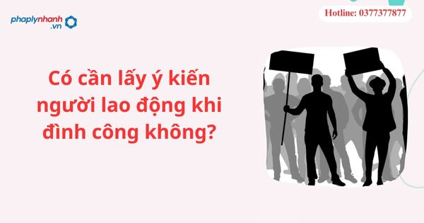 Có cần lấy ý kiến người lao động khi đình công không?