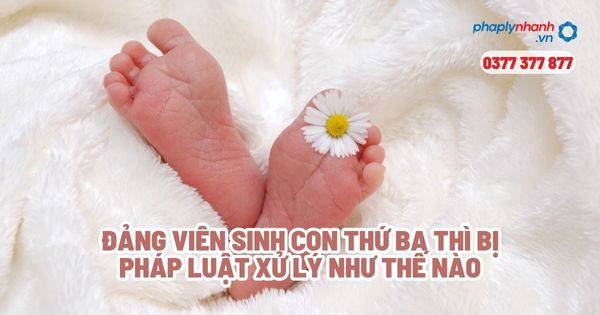 Đảng viên sinh con thứ ba thì bị pháp luật xử lý như thế nào? 1 Đảng viên sinh con thứ ba thì bị pháp luật xử lý như thế nào - Tư vấn, hỗ trợ pháp lý nhanh