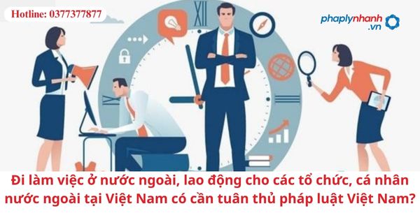 Đi làm việc ở nước ngoài, lao động cho các tổ chức, cá nhân nước ngoài tại Việt Nam có cần tuân thủ pháp luật Việt Nam? 1 Đi làm việc ở nước ngoài, lao động cho các tổ chức, cá nhân nước ngoài tại Việt Nam có cần tuân thủ pháp luật Việt Nam?