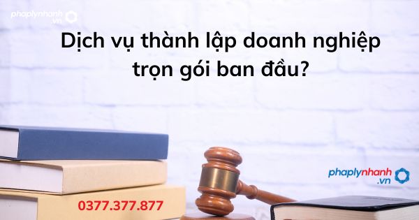 Dịch vụ thành lập doanh nghiệp trọn gói ban đầu? 1 Dịch vụ thành lập doanh nghiệp trọn gói ban đầu - tư vấn hỗ trợ pháp lý nhanh