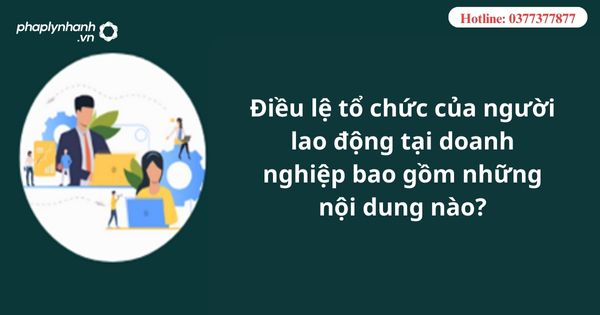 Điều lệ tổ chức của người lao động tại doanh nghiệp bao gồm những nội dung nào? 9 Điều lệ tổ chức của người lao động tại doanh nghiệp bao gồm những nội dung nào