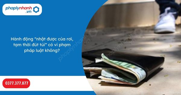 Hành động “nhặt được của rơi, tạm thời đút túi” có vi phạm pháp luật không? 1 Hành động “nhặt được của rơi, tạm thời đút túi” có vi phạm pháp luật không-Hỗ trợ, tư vấn pháp lý nhanh