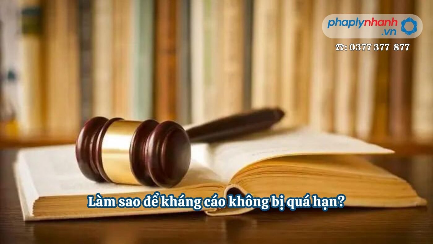 Làm sao để kháng cáo không bị quá hạn? 1 Làm sao để kháng cáo không bị quá hạn - Tư vấn, hỗ trợ pháp lý nhanh