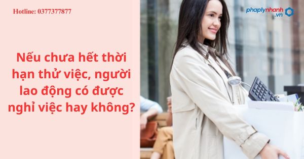 Nếu chưa hết thời hạn thử việc, người lao động có được nghỉ việc hay không?