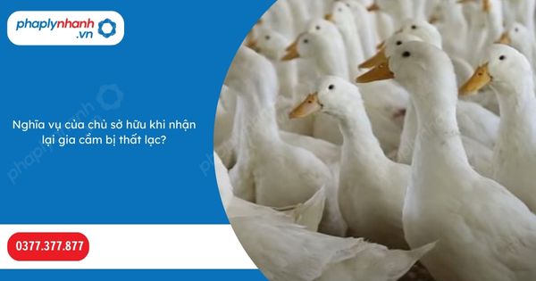 Nghĩa vụ của chủ sở hữu khi nhận lại gia cầm bị thất lạc? 1 Nghĩa vụ của chủ sở hữu khi nhận lại gia cầm bị thất lạc-Hỗ trợ, tư vấn pháp lý nhanh