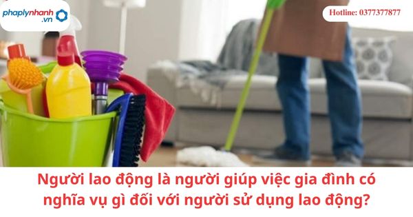 Người lao động là người giúp việc gia đình có nghĩa vụ gì đối với người sử dụng lao động? 1 Người lao động là người giúp việc gia đình có nghĩa vụ gì đối với người sử dụng lao động?