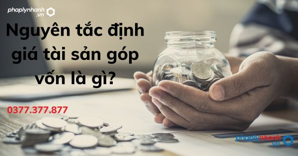 Nguyên tắc định giá tài sản góp vốn là gì? 1 Nguyên tắc định giá tài sản góp vốn là gì - tư vấn hỗ trợ pháp lý nhanh