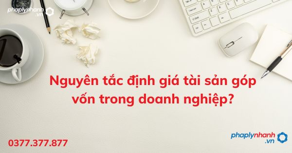 Nguyên tắc định giá tài sản góp vốn trong doanh nghiệp? 1 Nguyên tắc định giá tài sản góp vốn trong doanh nghiệp - tư vấn hỗ trợ pháp lý nhanh