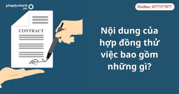 Nội dung của hợp đồng thử việc bao gồm những gì? 1 Nội dung của hợp đồng thử việc bao gồm những gì?