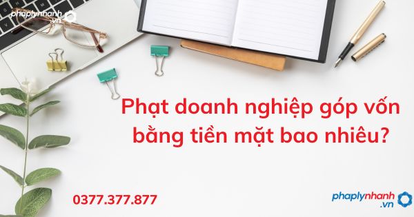 Phạt doanh nghiệp góp vốn bằng tiền mặt bao nhiêu - tư vấn hỗ trợ pháp lý nhanh