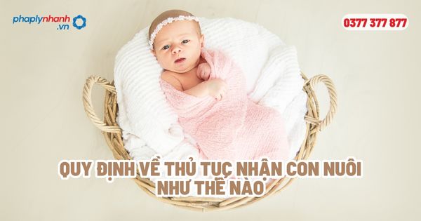 Quy định về thủ tục nhận con nuôi như thế nào? 1 Quy định về thủ tục nhận con nuôi như thế nào - Tư vấn, hỗ trợ pháp lý nhanh