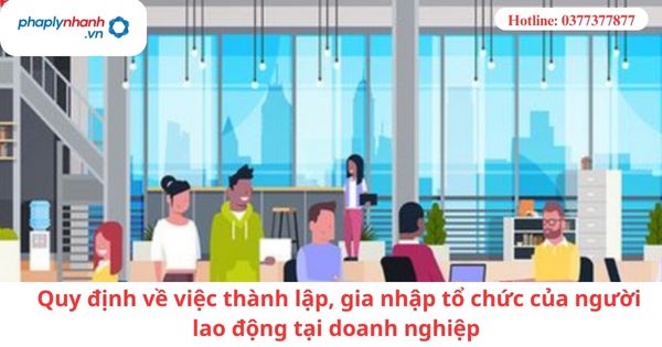 Quy định về việc thành lập, gia nhập tổ chức của người lao động tại doanh nghiệp 1 Quy định về việc thành lập, gia nhập tổ chức của người lao động tại doanh nghiệp
