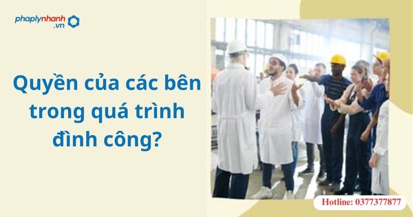 Quyền của các bên trong quá trình đình công? 1 Quyền của các bên trong quá trình đình công?