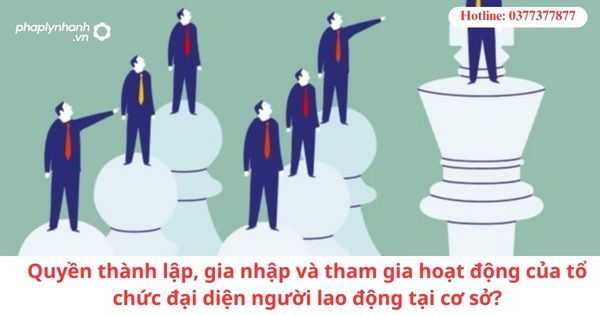 Quyền thành lập, gia nhập và tham gia hoạt động của tổ chức đại diện người lao động tại cơ sở? 1 Quyền thành lập, gia nhập và tham gia hoạt động của tổ chức đại diện người lao động tại cơ sở?