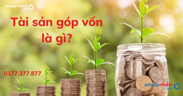 Tài sản góp vốn là gì? 1 Tài sản góp vốn là gì - tư vấn hỗ trợ pháp lý nhanh