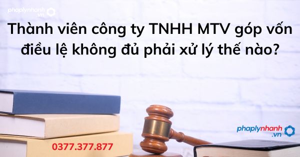 Thành viên công ty TNHH MTV góp vốn điều lệ không đủ phải xử lý thế nào? 1 Thành viên công ty TNHH MTV góp vốn điều lệ không đủ phải xử lý thế nào - tư vấn hỗ trợ pháp lý nhanh