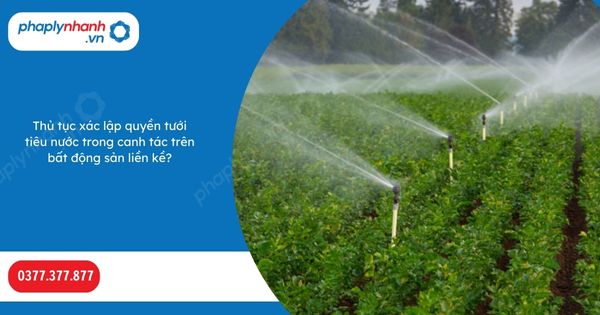 Thủ tục xác lập quyền tưới tiêu nước trong canh tác trên bất động sản liền kề? 1 Thủ tục xác lập quyền tưới tiêu nước trong canh tác trên bất động sản liền kề-Hỗ trợ, tư vấn pháp lý nhanh