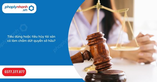 Tiêu dùng hoặc tiêu hủy tài sản có làm chấm dứt quyền sở hữu? 1 Tiêu dùng hoặc tiêu hủy tài sản có làm chấm dứt quyền sở hữu-Hỗ trợ, tư vấn pháp lý nhanh