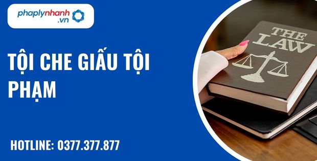 Tội che giấu tội phạm như thế nào? 1 Tội che giấu tội phạm - hỗ trợ, tư vấn pháp lý nhanh