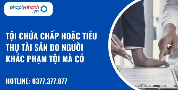 Tội chứa chấp hoặc tiêu thụ tài sản do người khác phạm tội mà có như thế nào? 19 Tội chứa chấp hoặc tiêu thụ tài sản do người khác phạm tội mà có