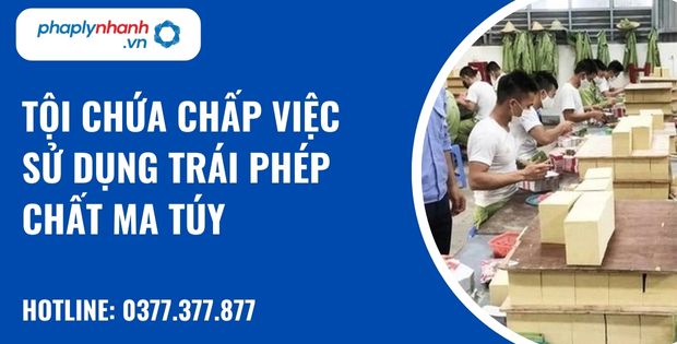 Tội chứa chấp việc sử dụng trái phép chất ma túy là gì? Quy định về tội chứa chấp việc sử dụng trái phép chất túy như thế nào? 1 Tội chứa chấp việc sử dụng trái phép chất ma túy - hỗ trợ, tư vấn pháp lý nhanh