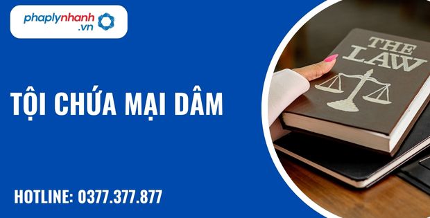 Quy định về tội chứa mại dâm như thế nào? 7 Tội chứa mại dâm - hỗ trợ, tư vấn pháp lý nhanh