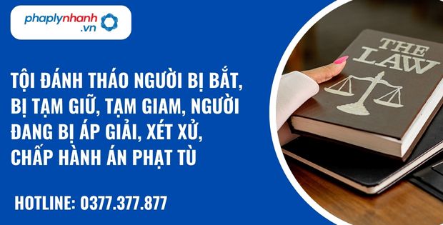 Tội đánh tháo người bị bắt, bị tạm giữ, tạm giam, người đang bị áp giải, xét xử, chấp hành án phạt tù như thế nào? 8 Tội đánh tháo người bị bắt, bị tạm giữ, tạm giam, người đang bị áp giải, xét xử, chấp hành án phạt tù - hỗ trợ, tư vấn pháp lý nhanh