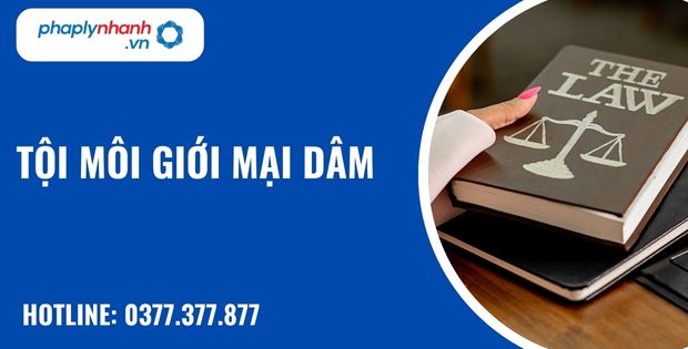 Tội môi giới mại dâm được quy định như thế nào? 4 Tội môi giới mại dâm- hỗ trợ, tư vấn pháp lý nhanh