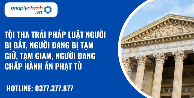 Tội tha trái pháp luật người bị bắt, người đang bị tạm giữ, tạm giam, người đang chấp hành án phạt tù như thế nào? 4 Tội tha trái pháp luật người bị bắt, người đang bị tạm giữ, tạm giam, người đang chấp hành án phạt tù - hỗ trợ, tư vấn pháp lý nhanh