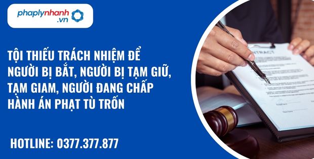 Tội thiếu trách nhiệm để người bị bắt, người bị tạm giữ, tạm giam, người đang chấp hành án phạt tù trốn như thế nào? 10 Tội thiếu trách nhiệm để người bị bắt, người bị tạm giữ, tạm giam, người đang chấp hành án phạt tù trốn - hỗ trợ, tư vấn pháp lý nhanh