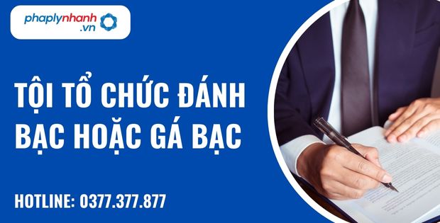 Tội tổ chức đánh bạc hoặc gá bạc như thế nào? 22 Tội tổ chức đánh bạc hoặc gá bạc - hỗ trợ, tư vấn pháp lý nhanh