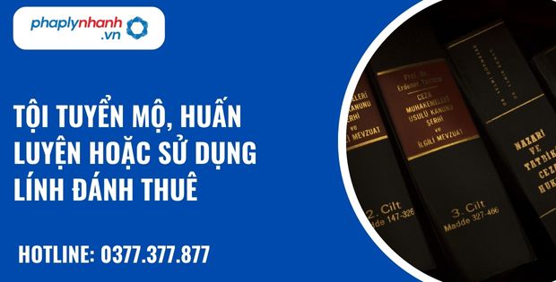Tội tuyển mộ, huấn luyện hoặc sử dụng lính đánh thuê - hỗ trợ, tư vấn pháp lý nhanh