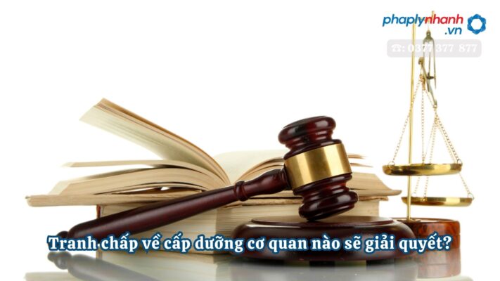 Tranh chấp về cấp dưỡng cơ quan nào sẽ giải quyết? 1 Tranh chấp về cấp dưỡng cơ quan nào sẽ giải quyết?