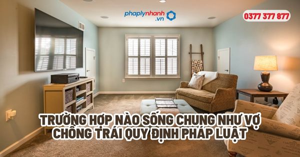 Trường hợp nào sống chung như vợ chồng trái quy định pháp luật? 11 Trường hợp nào sống chung như vợ chồng trái quy định pháp luật - Tư vấn, hỗ trợ pháp lý nhanh