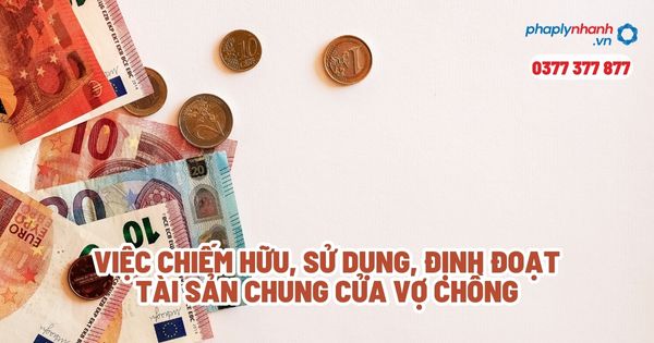 Việc chiếm hữu, sử dụng, định đoạt tài sản chung của vợ chồng? 1 Việc chiếm hữu, sử dụng, định đoạt tài sản chung của vợ chồng - Tư vấn, hỗ trợ pháp lý nhanh
