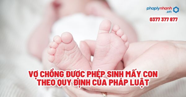 Vợ chồng được phép sinh mấy con theo quy định của pháp luật? 1 Vợ chồng được phép sinh mấy con theo quy định của pháp luật - Tư vấn, hỗ trợ pháp lý nhanh