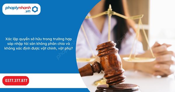 Xác lập quyền sở hữu trong trường hợp sáp nhập tài sản không phân chia và không xác định được vật chính, vật phụ? 1 Xác lập quyền sở hữu trong trường hợp sáp nhập tài sản không phân chia và không xác định được vật chính, vật phụ-Hỗ trợ, tư vấn pháp lý nhanh