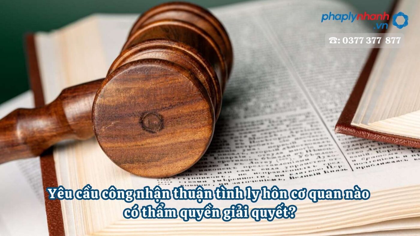 Yêu cầu công nhận thuận tình ly hôn cơ quan nào có thẩm quyền giải quyết? 11 Yêu cầu công nhận thuận tình ly hôn cơ quan nào có thẩm quyền giải quyết - Tư vấn, hỗ trợ pháp lý nhanh