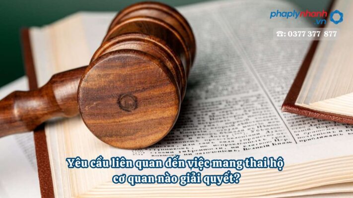 Yêu cầu liên quan đến việc mang thai hộ cơ quan nào giải quyết? 1 Yêu cầu liên quan đến việc mang thai hộ cơ quan nào giải quyết - Tư vấn, hỗ trợ pháp lý nhanh